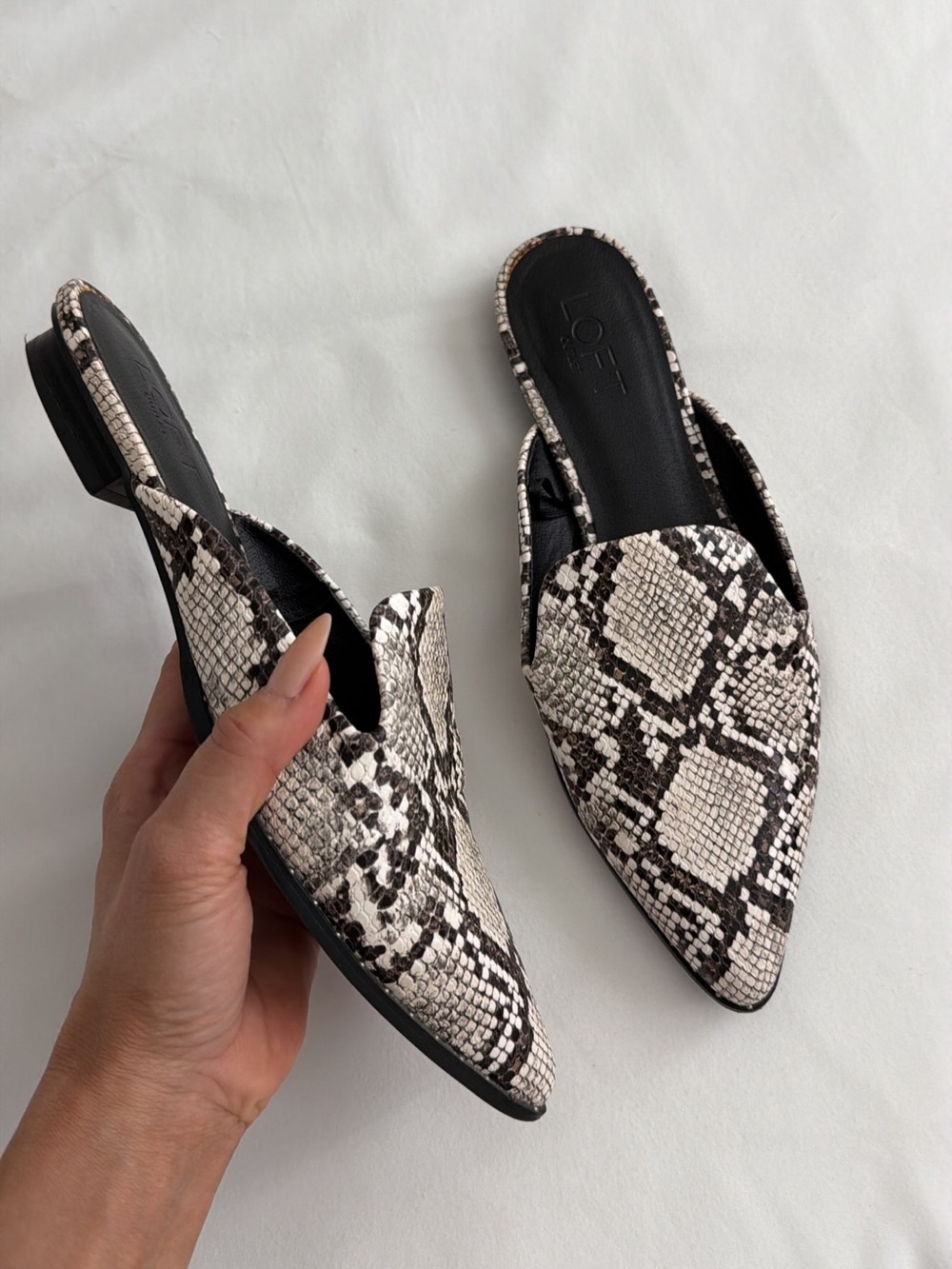 LOFT Snake-Print Pointed Toe Mules in Black and White